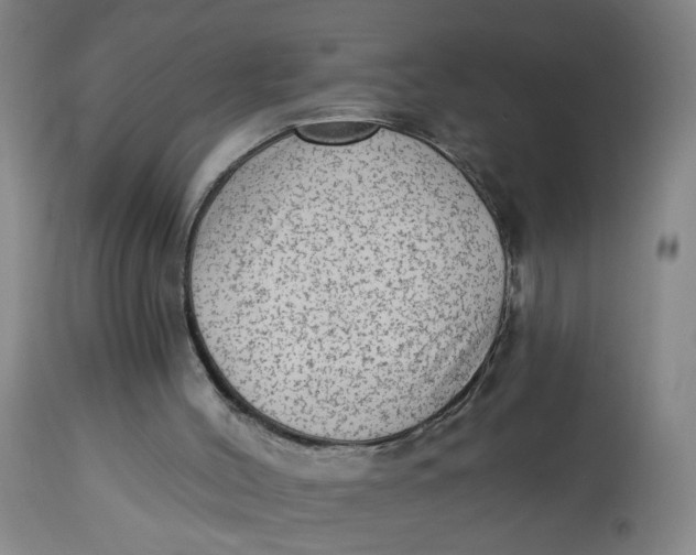 X0000113020004200909171506