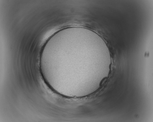 X0000113020005200909171506