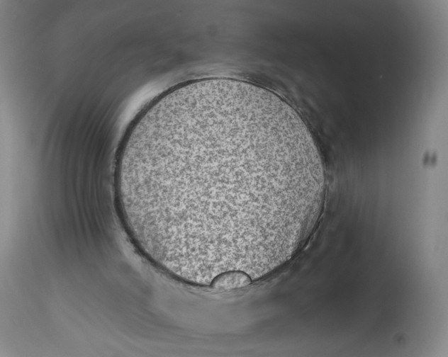 X0000113020006200909171506