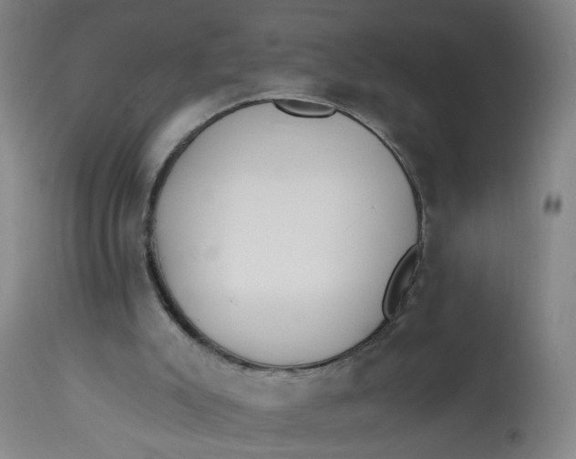 X0000113020007200909171506