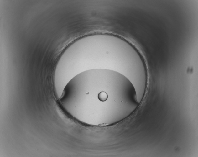 X0000113020009200909171506