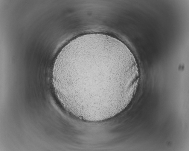 X0000113020010200909171506