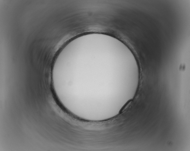 X0000113020011200909171506