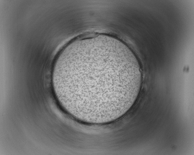 X0000113020012200909171506