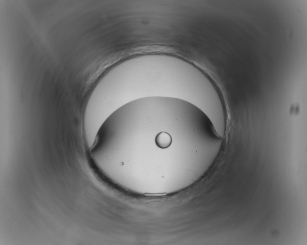 X0000113020013200909171506