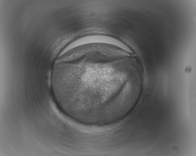 X0000113020014200909171506