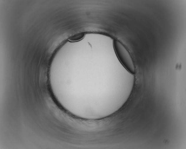 X0000113020015200909171506