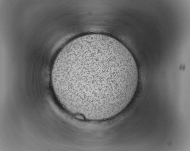 X0000113020016200909171506