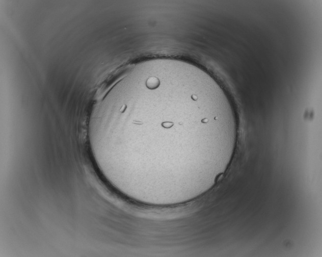 X0000113020017200909171506