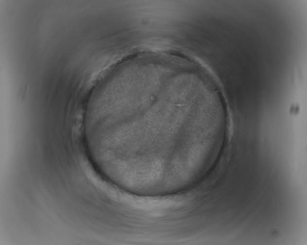 X0000113020018200909171506