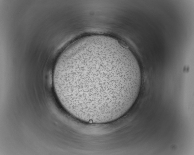 X0000113020020200909171506