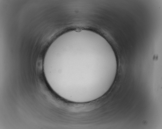 X0000113020021200909171506