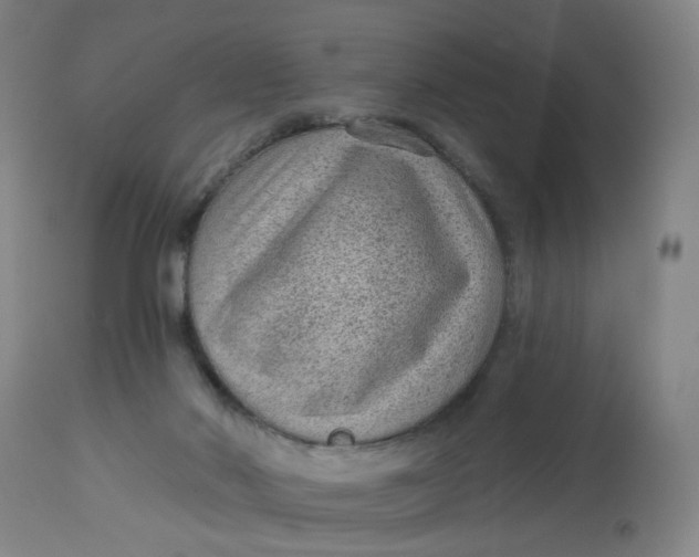 X0000113020022200909171506