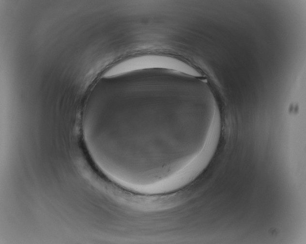 X0000113020023200909171506