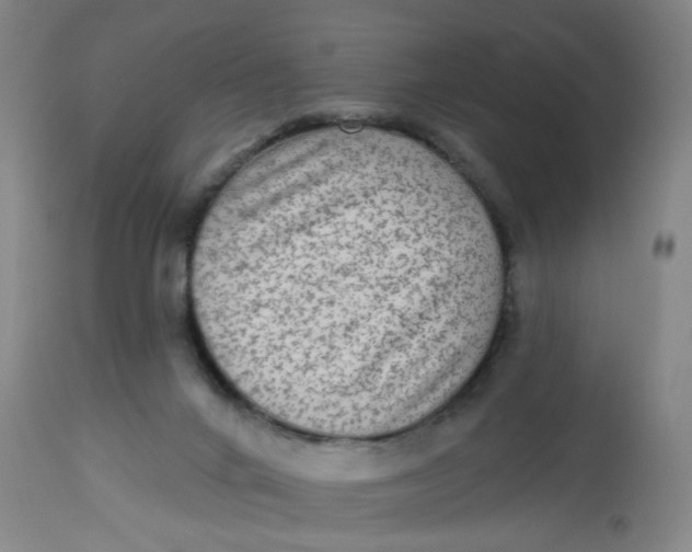 X0000113020024200909171506