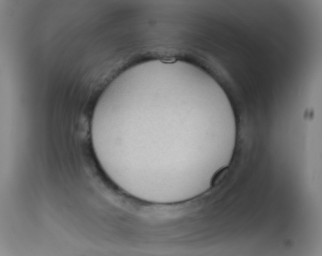 X0000113020025200909171506