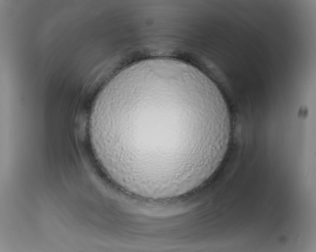 X0000113020026200909171506