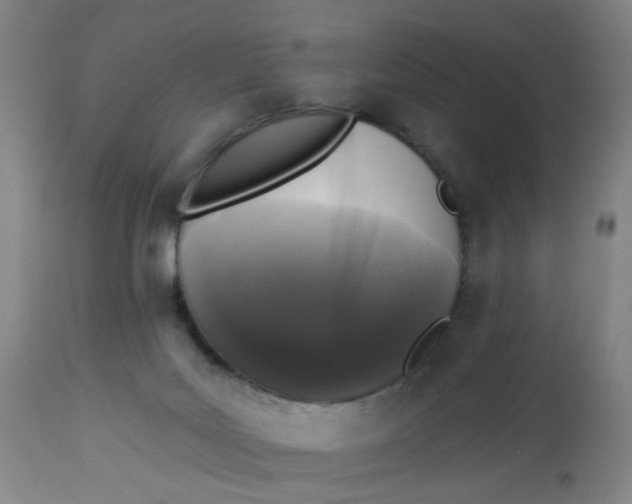 X0000113020027200909171505