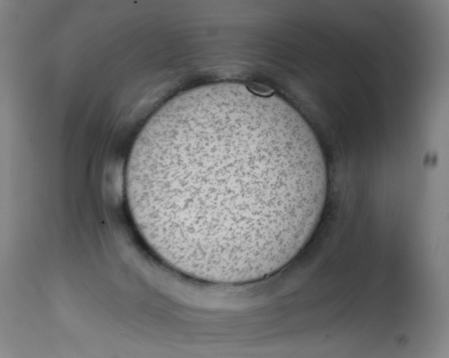 X0000113020028200909171505