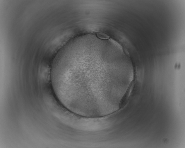 X0000113020029200909171505