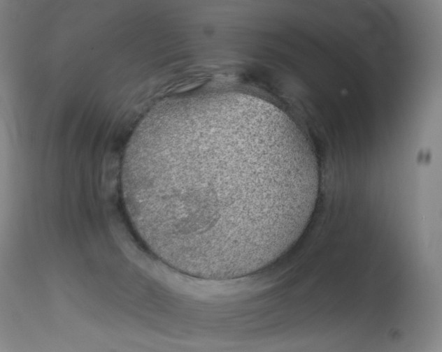 X0000113020030200909171505