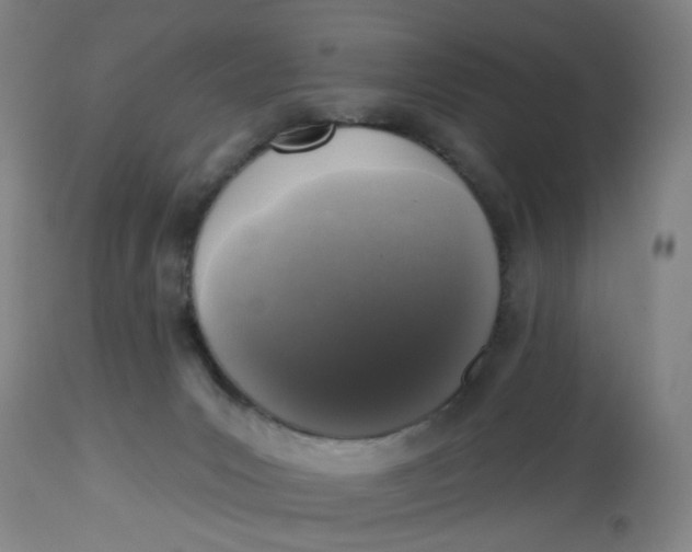 X0000113020031200909171505