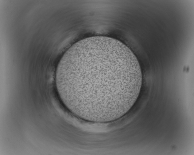 X0000113020032200909171505