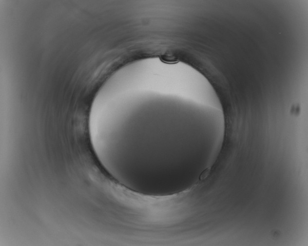 X0000113020035200909171505