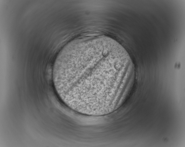 X0000113020036200909171505