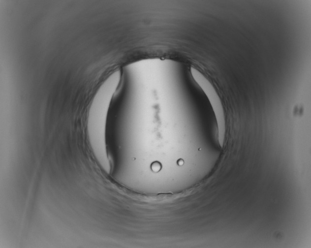 X0000113020037200909171505