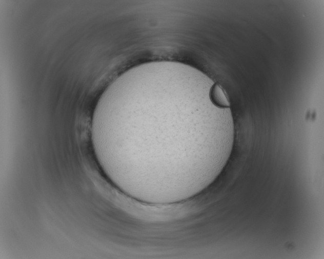 X0000113020038200909171505