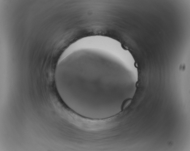 X0000113020039200909171505