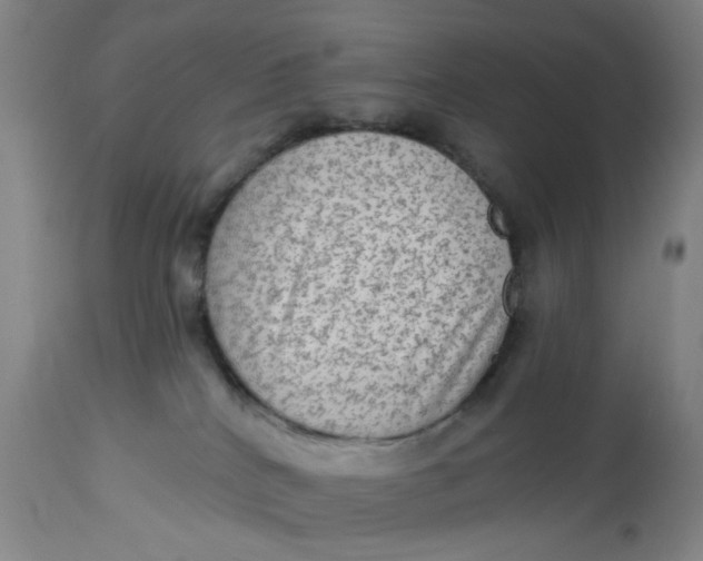 X0000113020040200909171505