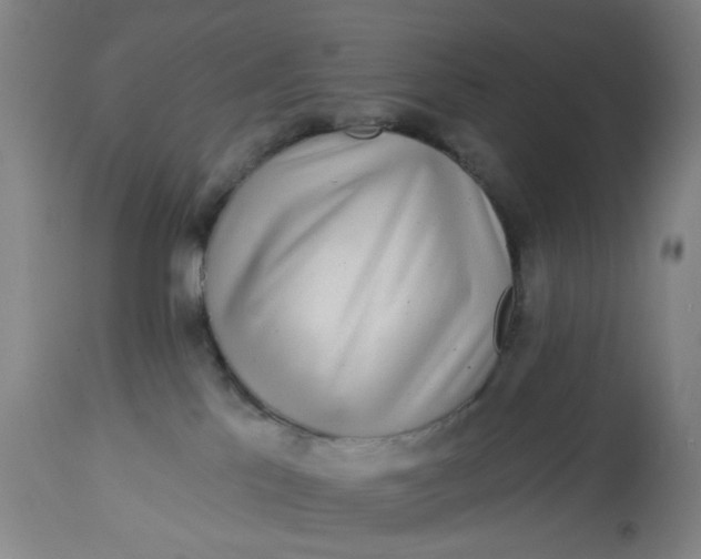 X0000113020041200909171505