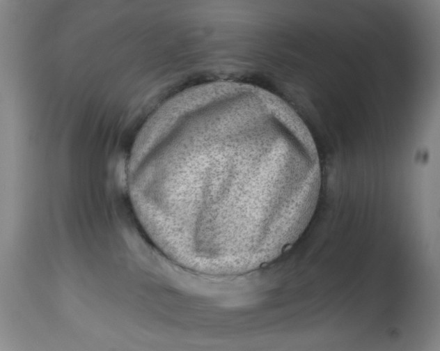 X0000113020042200909171505