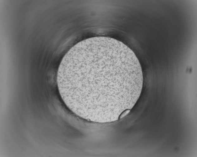 X0000113020044200909171505