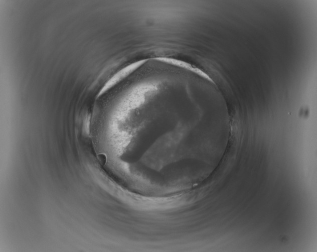 X0000113020046200909171505