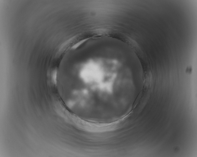 X0000113020047200909171505