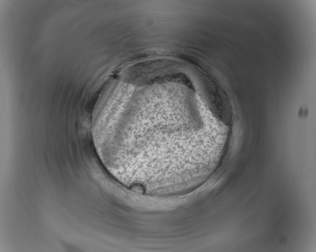 X0000113020048200909171505