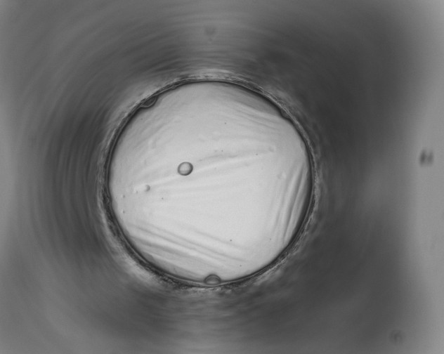 X0000113020049200909171505