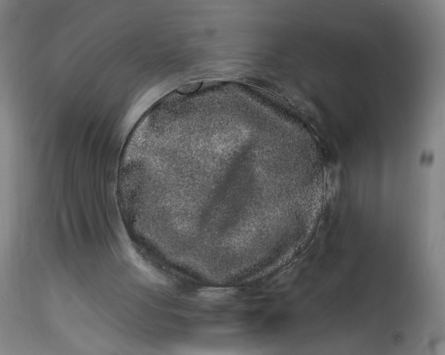 X0000113020051200909171505