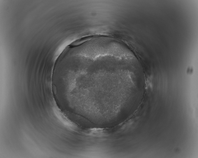 X0000113020052200909171505