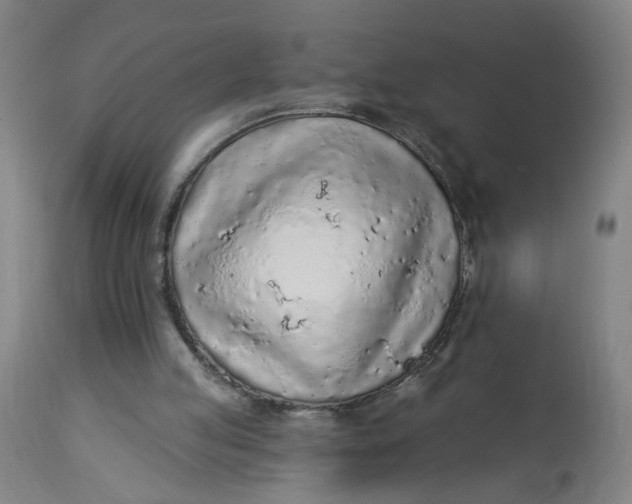 X0000113020053200909171505