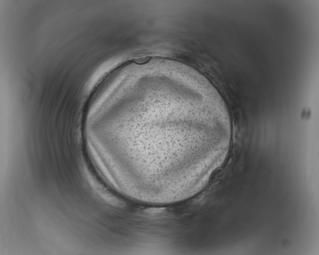 X0000113020054200909171505