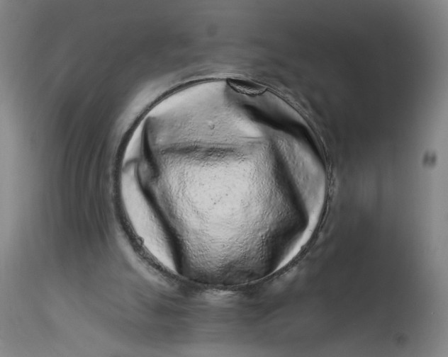 X0000113020055200909171505