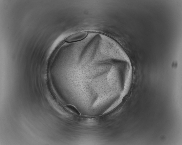 X0000113020056200909171505