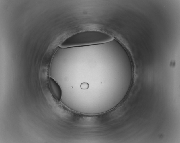 X0000113020057200909171505