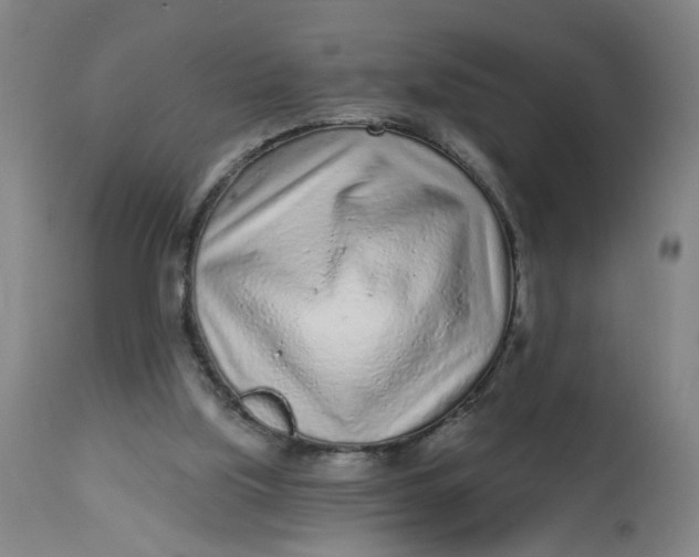 X0000113020059200909171505