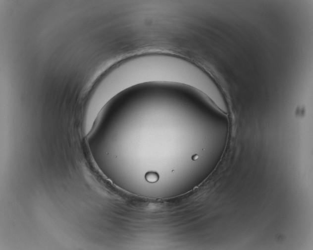 X0000113020060200909171505