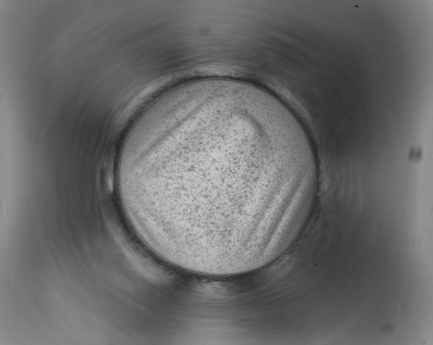 X0000113020062200909171505